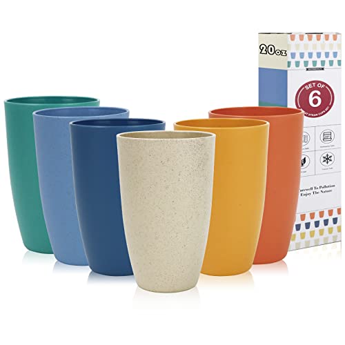 Homienly Wheat Straw Cups Set of 6 - 20 oz Unbreakable Reusable Drinking Glasses