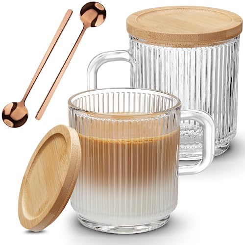 Mfacoy Glass Coffee Mugs Set - 12oz with Bamboo Lids